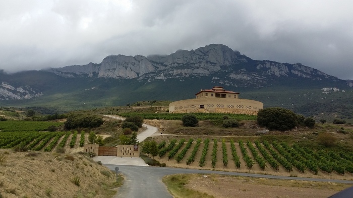 Weinanbau Rioja Gebiet